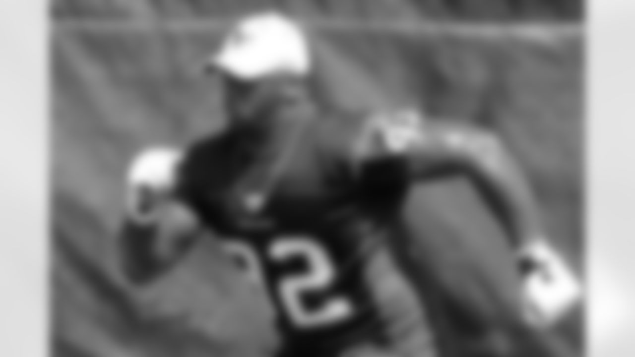 Defensive tackle Earl Mitchell