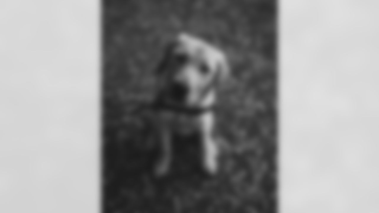 An image from the Oct. 21, 2022 Animal Planet Puppy Bowl. Texans Pup, Kirby, participated.