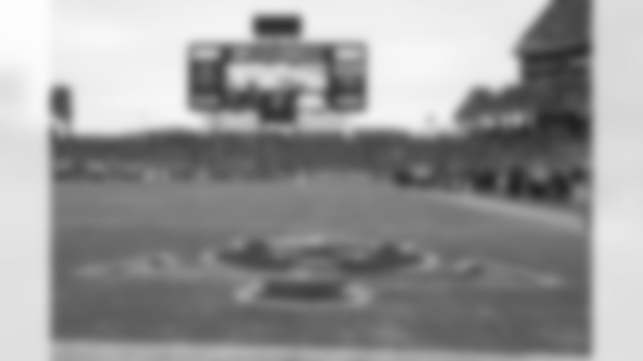 LP Field
