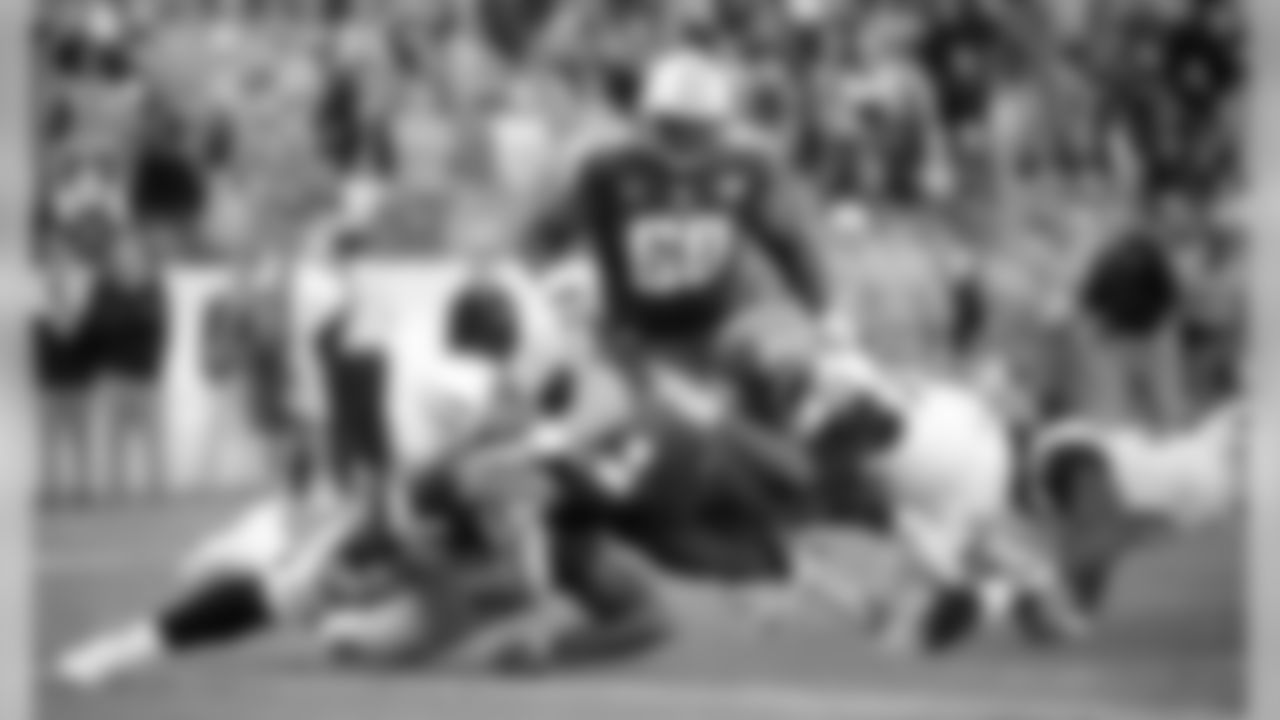 Ryan Fitzpatrick played 680 snaps at quarterback (63.3 percent of Tennessee's 1,074 offensive plays).