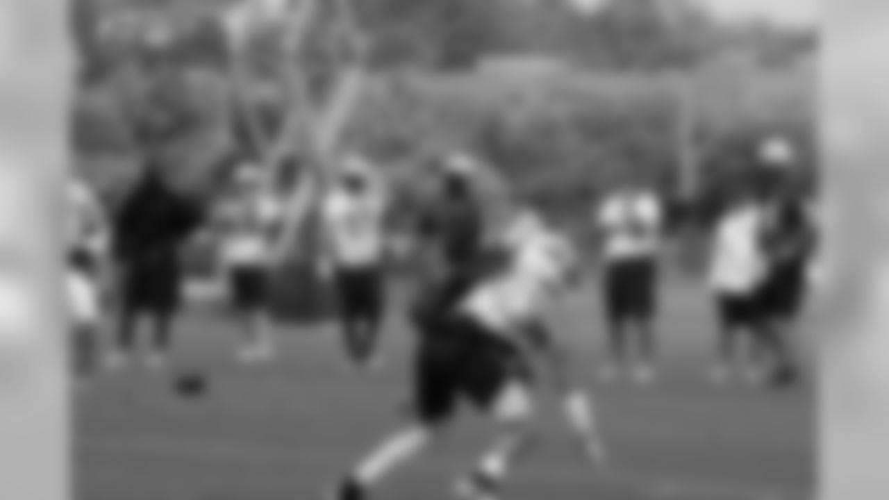 Titans players participate in an OTA (organized training activity) on Monday, June 14, 2010 at Baptist Sports Park in Nashville, Tenn.