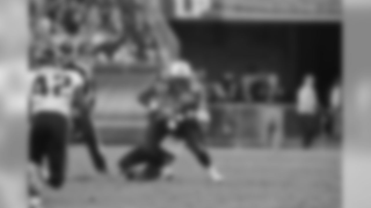 The Tennessee Titans in action against the Jacksonville Jaguars on Sunday, Nov. 1, 2009 at LP Field.