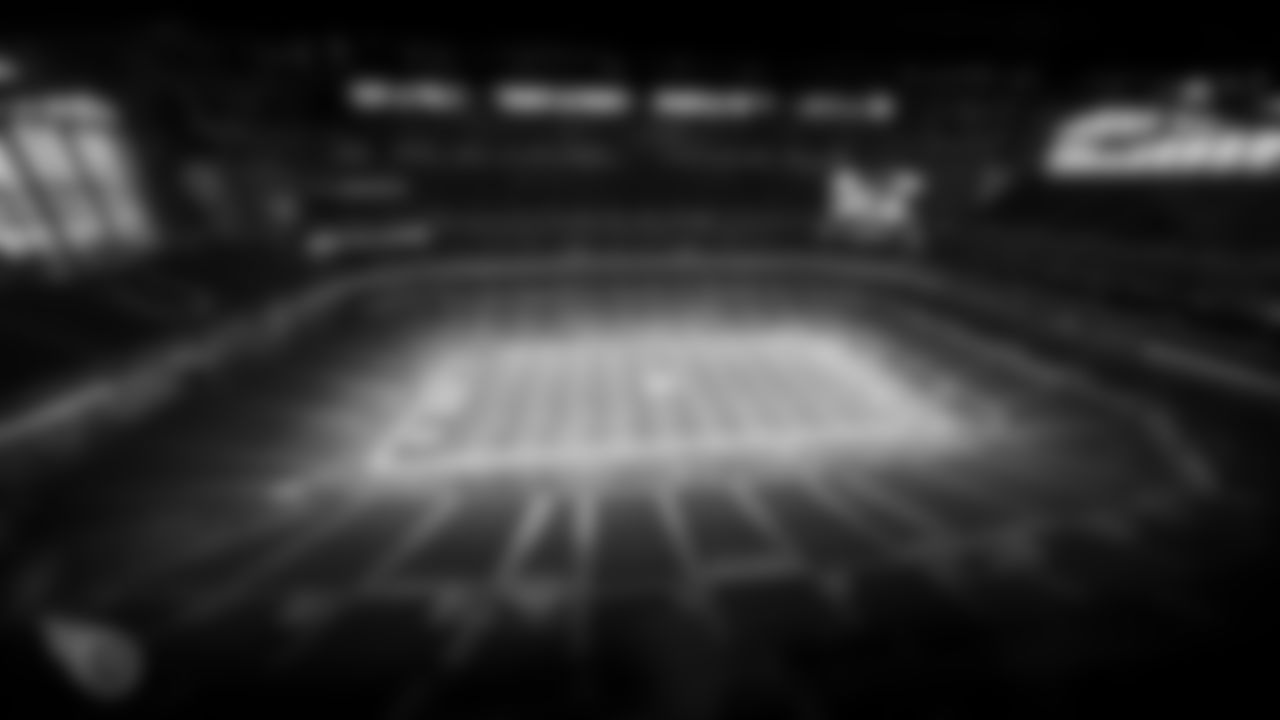 INDIANAPOLIS, IN - DECEMBER 01, 2019 - The Tennessee Titans take on the Indianapolis Colts at Lucas Oil Stadium in Indianapolis, IN. Photo By Donald Page/Tennessee Titans