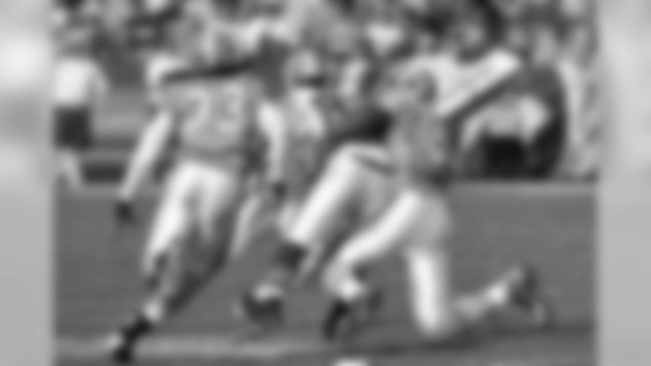 The Tennessee Titans in action against the Buffalo Bills at LP Field on Sunday, Nov. 15, 2009.