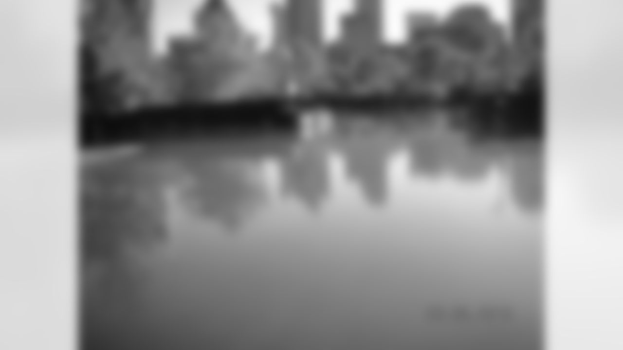 LP_Field_Flood