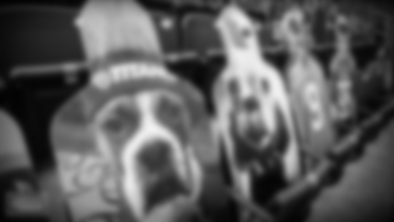 NASHVILLE, TN - SEPTEMBER 18, 2020 - Cutouts of fans in the stands at Nissan Stadium in Nashville, TN. Photo By Donald Page/Tennessee Titans