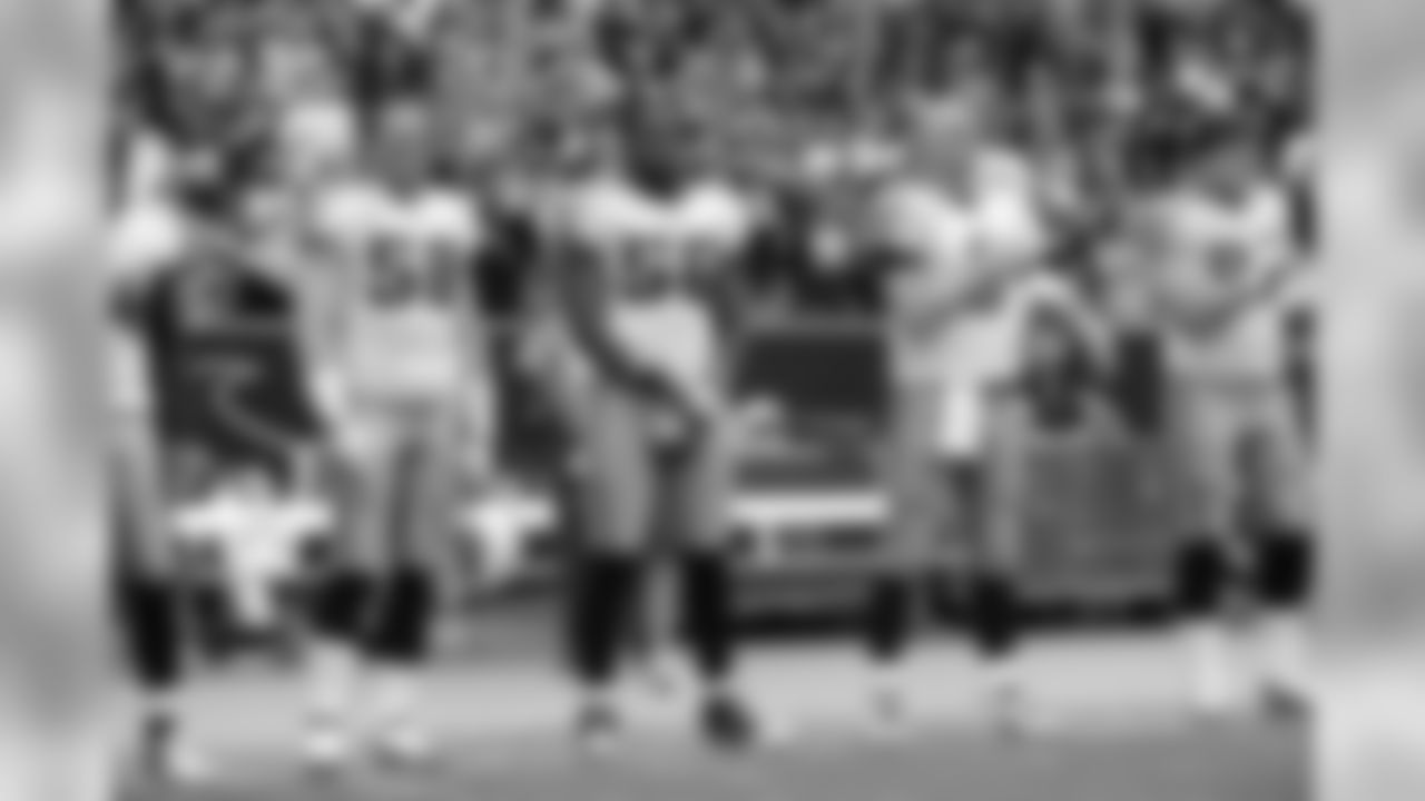 Tennessee Titans vs. Houston Texans on January 1, 2012. Photos by Donn Jones Photography