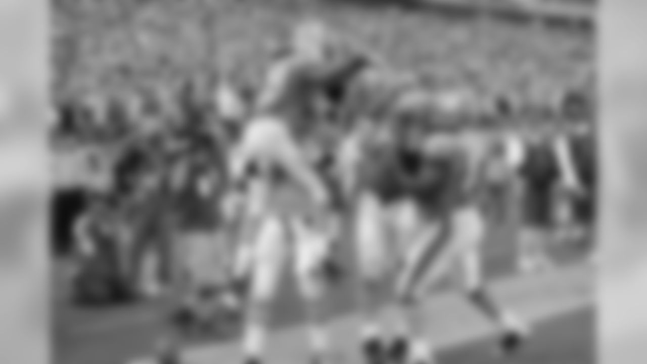 The Tennessee Titans in action against the Buffalo Bills at LP Field on Sunday, Nov. 15, 2009.