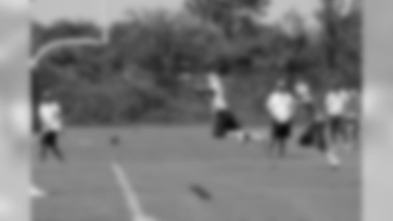 Titans players participate in an OTA (organized training activity) on Monday, June 14, 2010 at Baptist Sports Park in Nashville, Tenn.