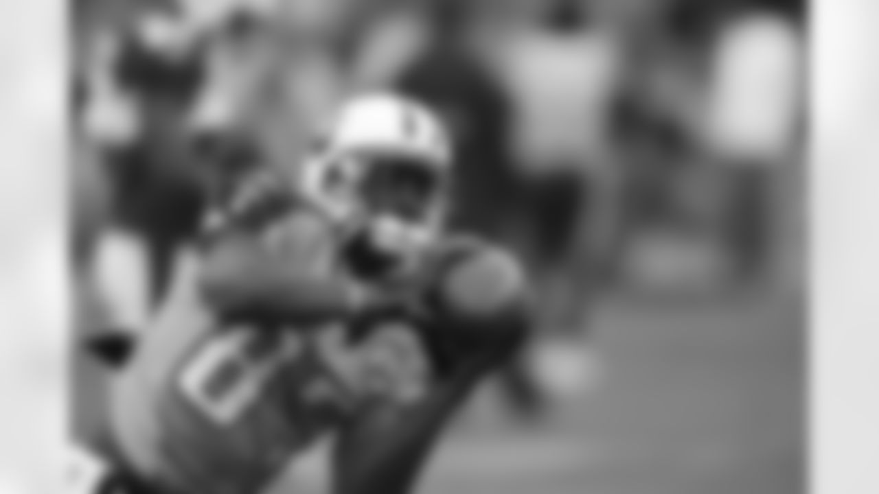 Tennessee Titans wide receiver Lavelle Hawkins (87) warms up before an NFL football game against the Arizona Cardinals on Sunday, Nov. 29, 2009 in Nashville, Tenn. (AP Photo/Wade Payne)