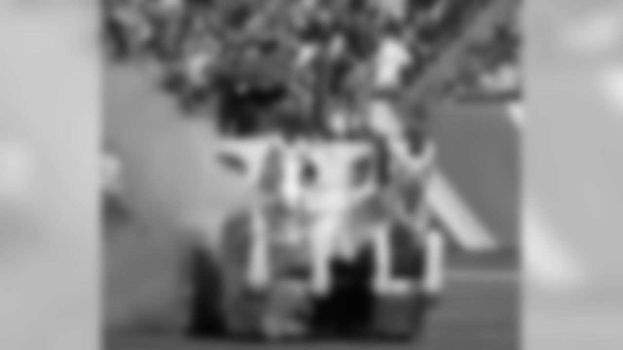 Tennessee Titans mascot T-Rac enters the game before an NFL football game between the Tennessee Titans and the Baltimore Ravens on Sunday, Nov. 5, 2017, in Nashville, Tenn. The Titans won 23-20. (Jeff Haynes/AP Images for Panini)