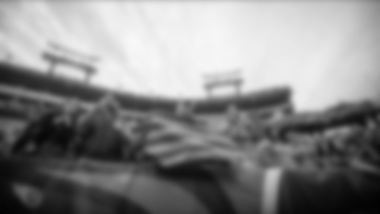 NASHVILLE, TN - DECEMBER 15, 2019 - Fans cheer during the game between the Tennessee Titans and the Houston Texans at Nissan Stadium in Nashville, TN. Photo By Brad Moore/Tennessee Titans