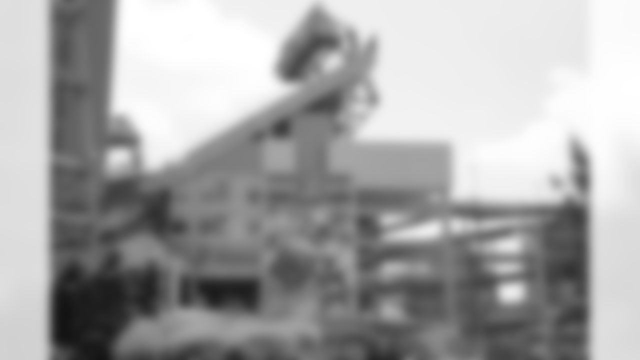 LP Field