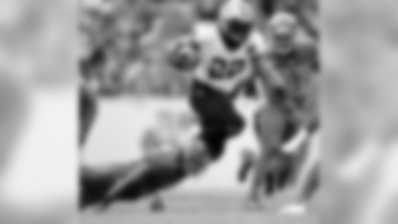 Saints 28 - Bucs 14 (W)
South Division Champions
New Orleans Saints 2018 Season
Michael C. Hebert