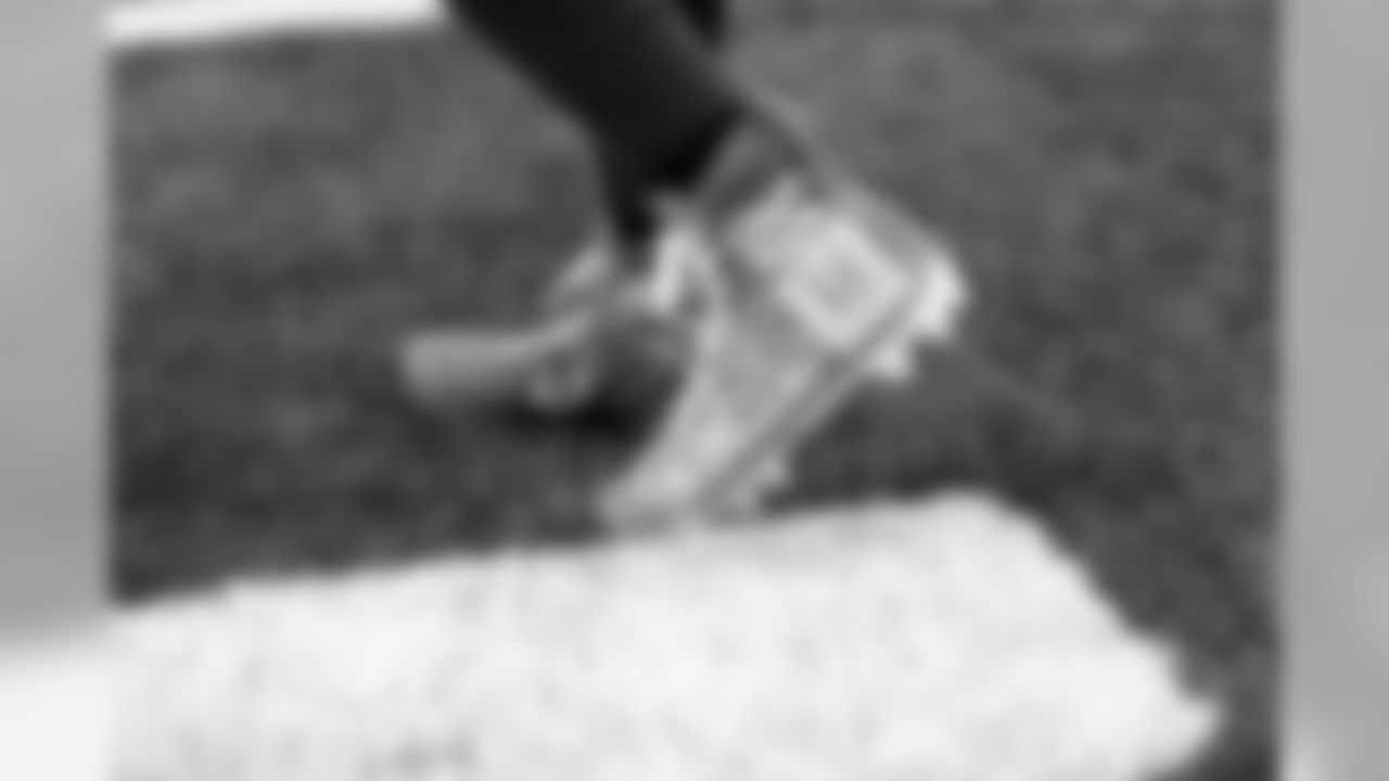 Lions_Edited-4