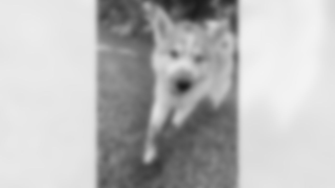 IMG-8084