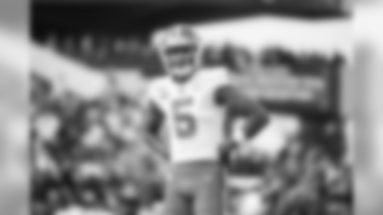 WR Tee Higgins, Clemson