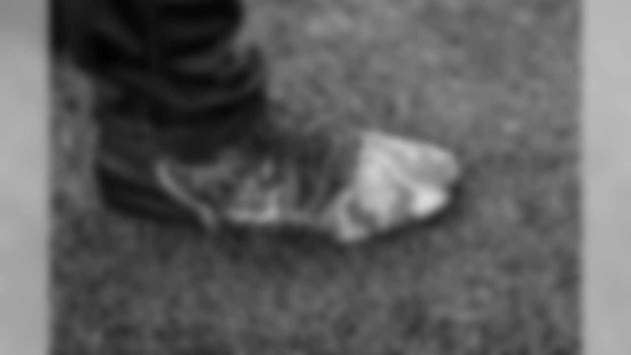Lions_Edited-7
