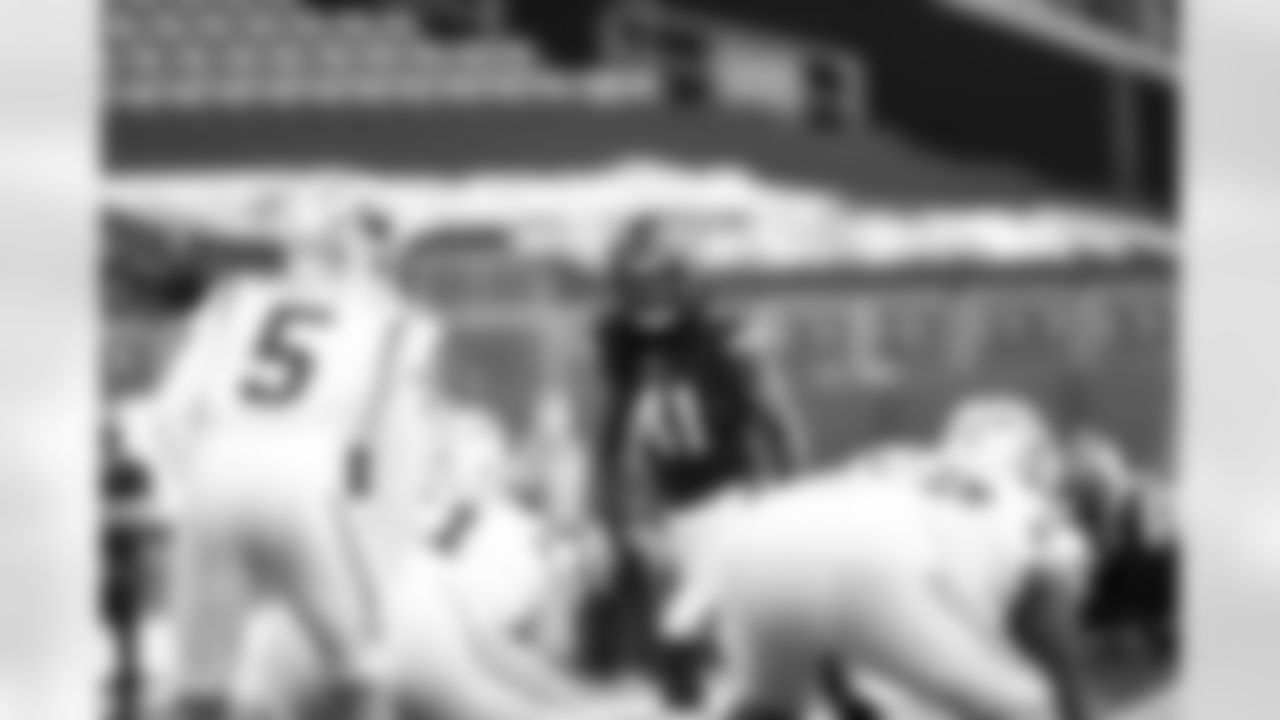Panthers_Home-100