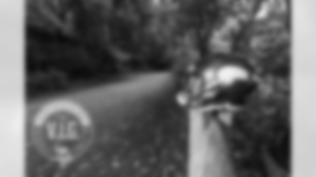 Wissahickon Valley