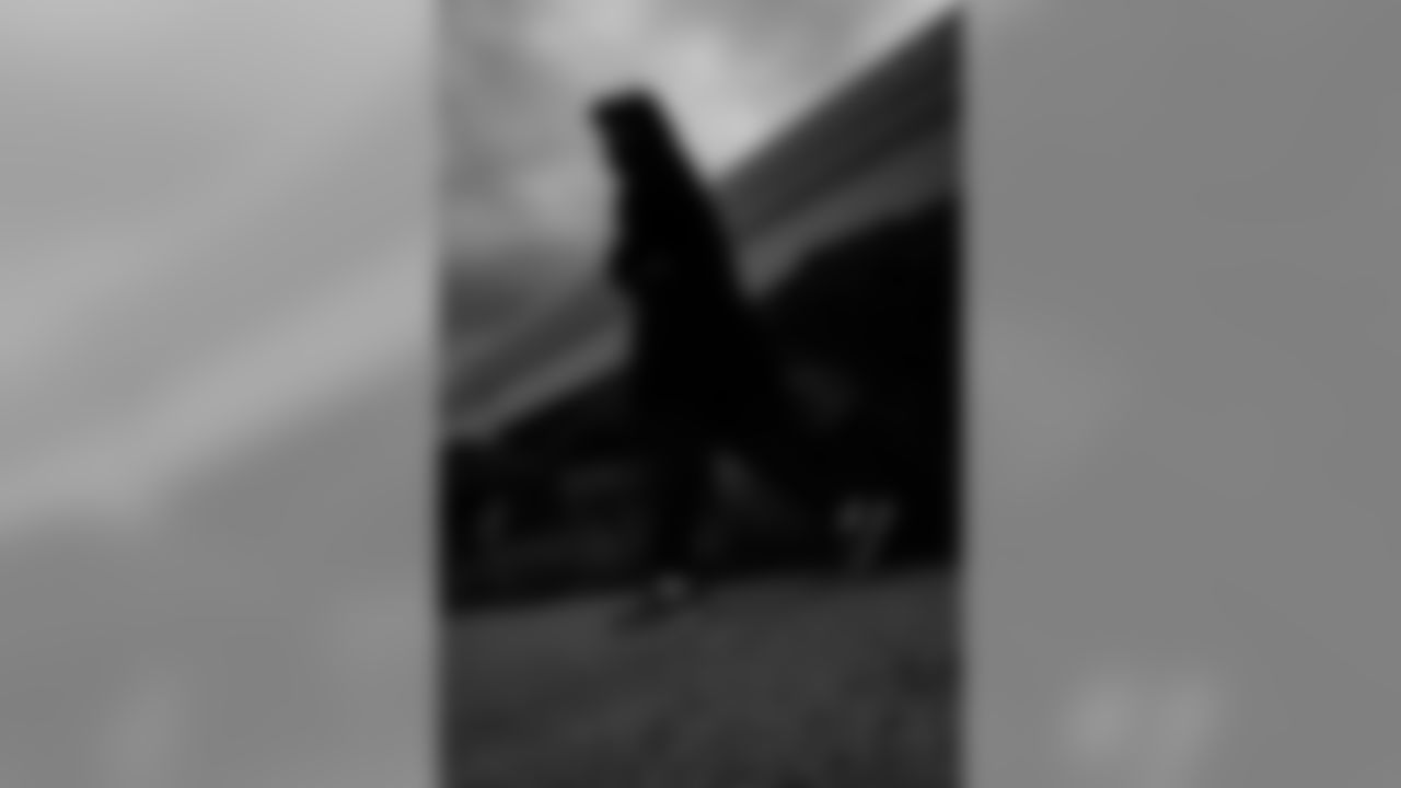 L1490491
