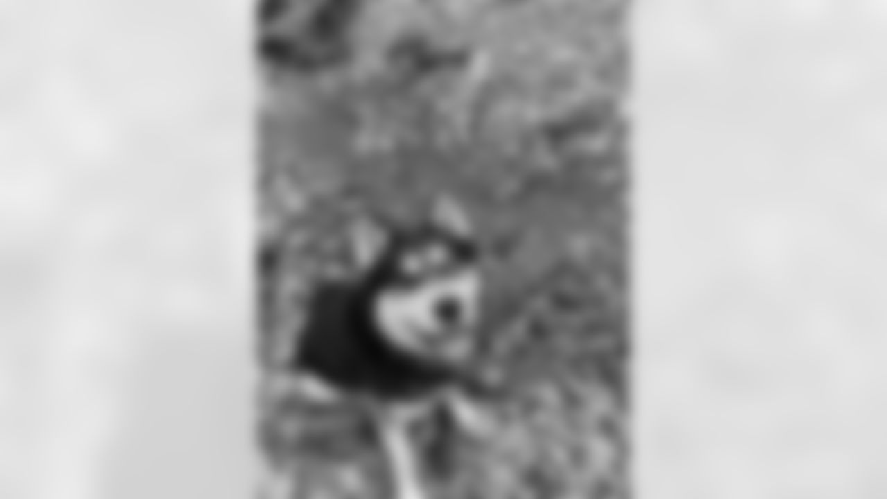 IMG-3743