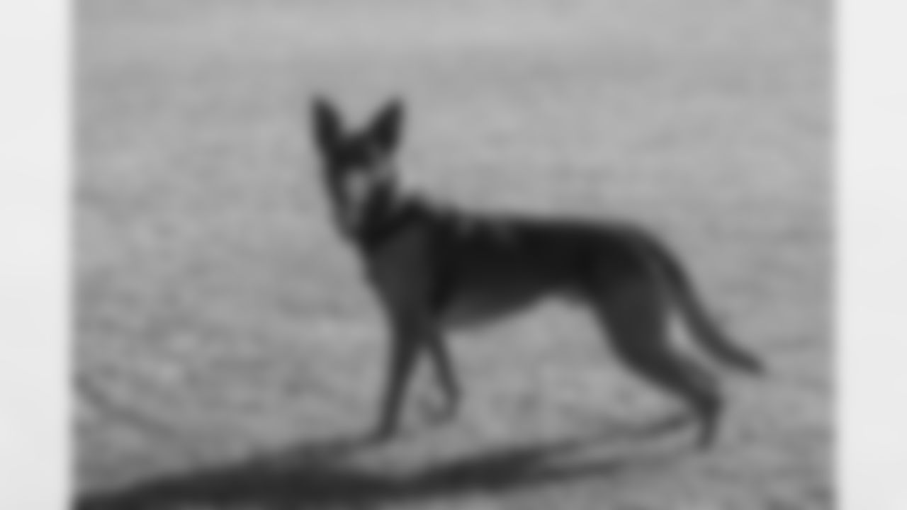 Rusco05