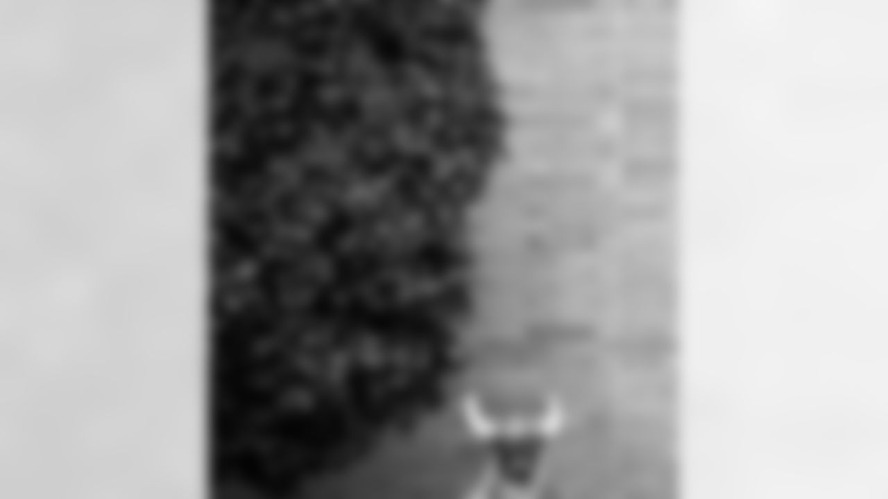 AK3_9431