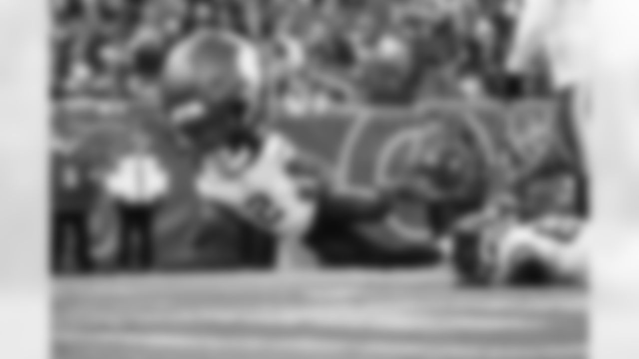 BearsBigHead_011