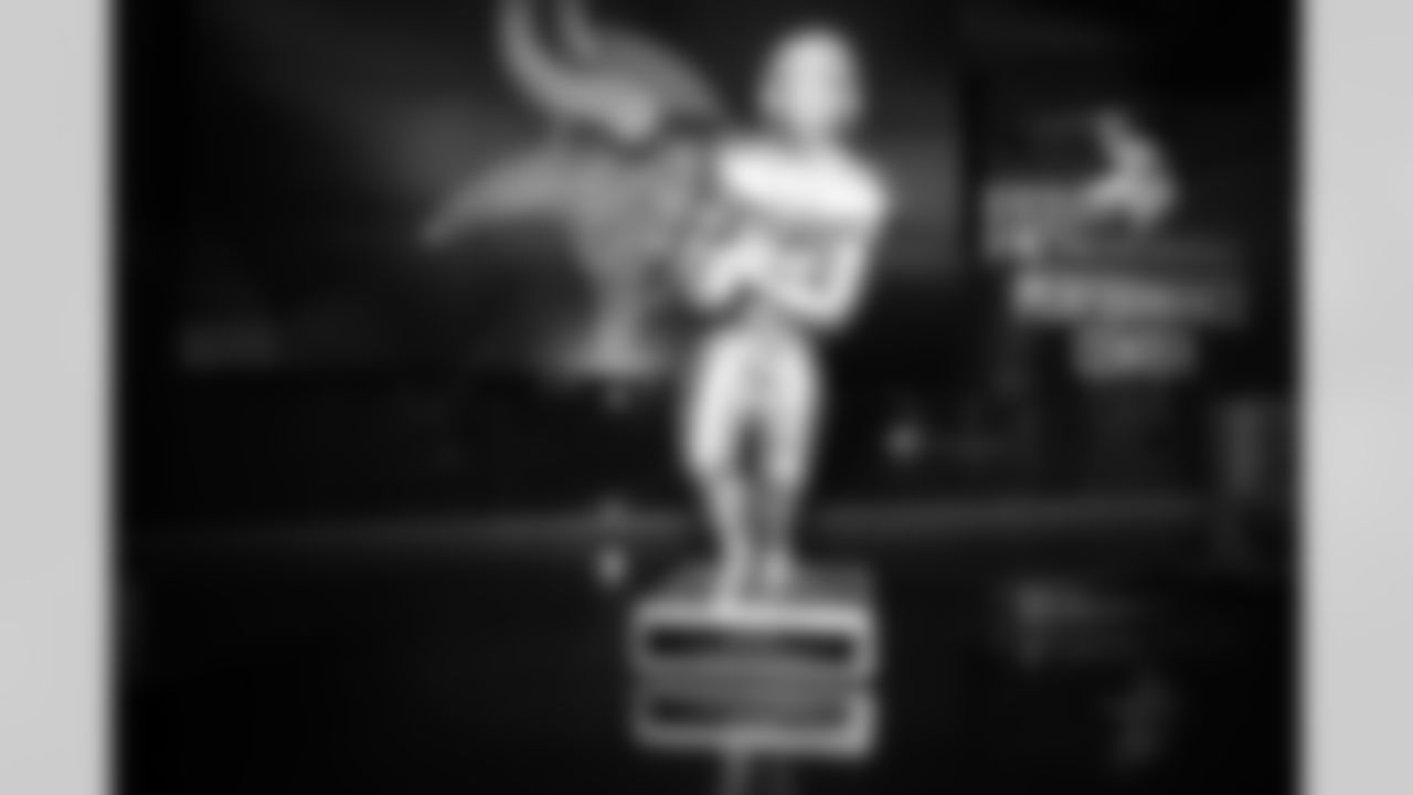 Bud Grant Distinguished Minnesotan Award
