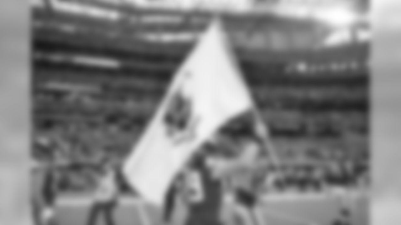 An image from November 4, 2018 regular season home game against the Detroit Lions. The Vikings won 24-9.