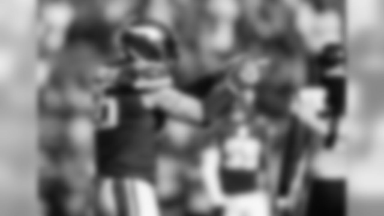 An image from the Oct. 9, 2016 home game against the Houston Texans. The Vikings won 31-13.