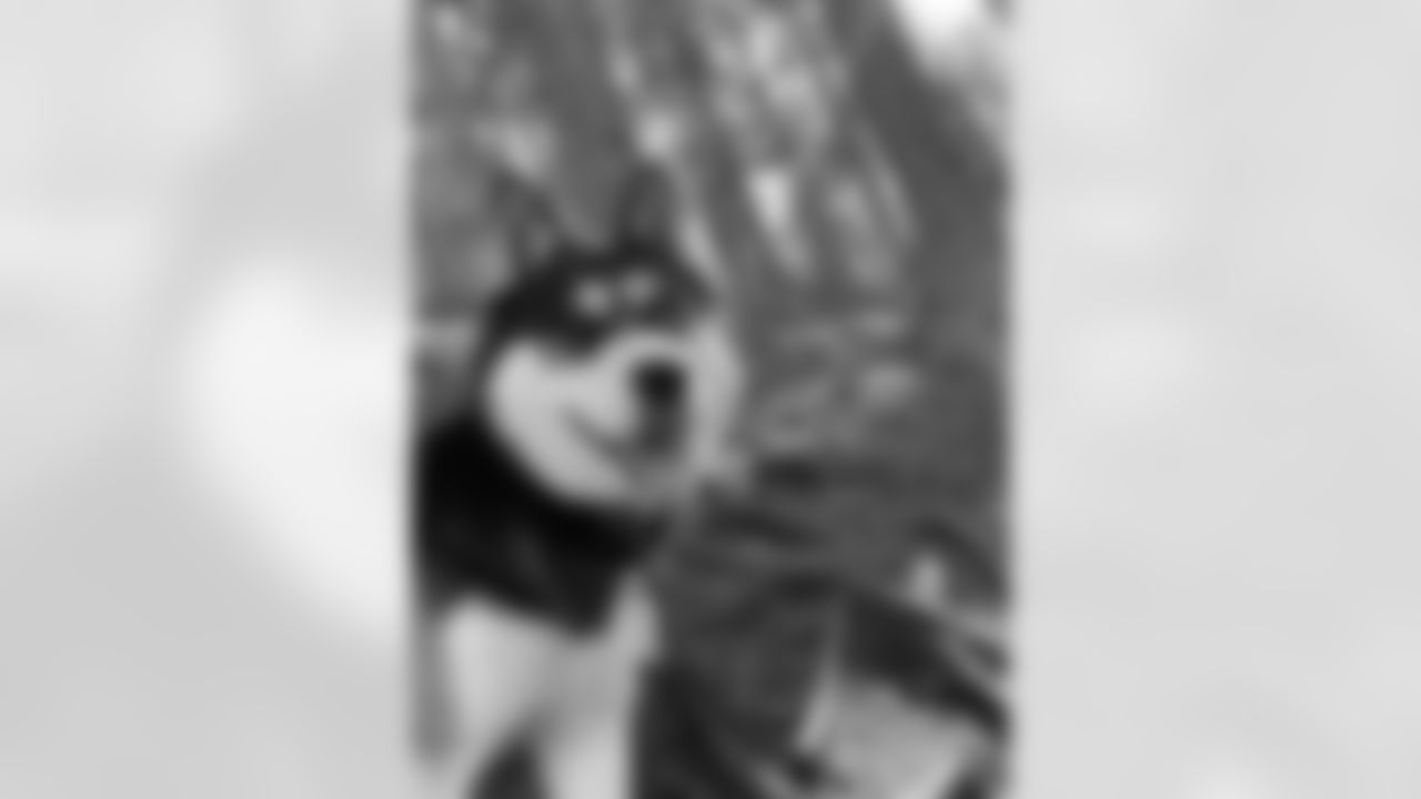 IMG-6930