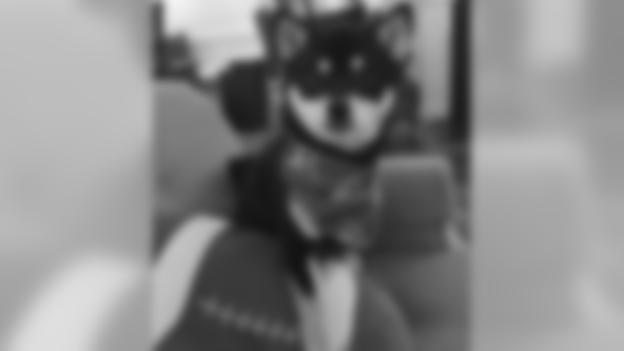 panda.png