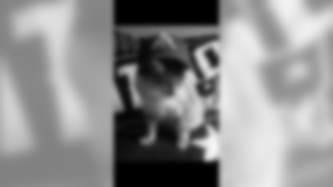 53270_8_2845752427.png
