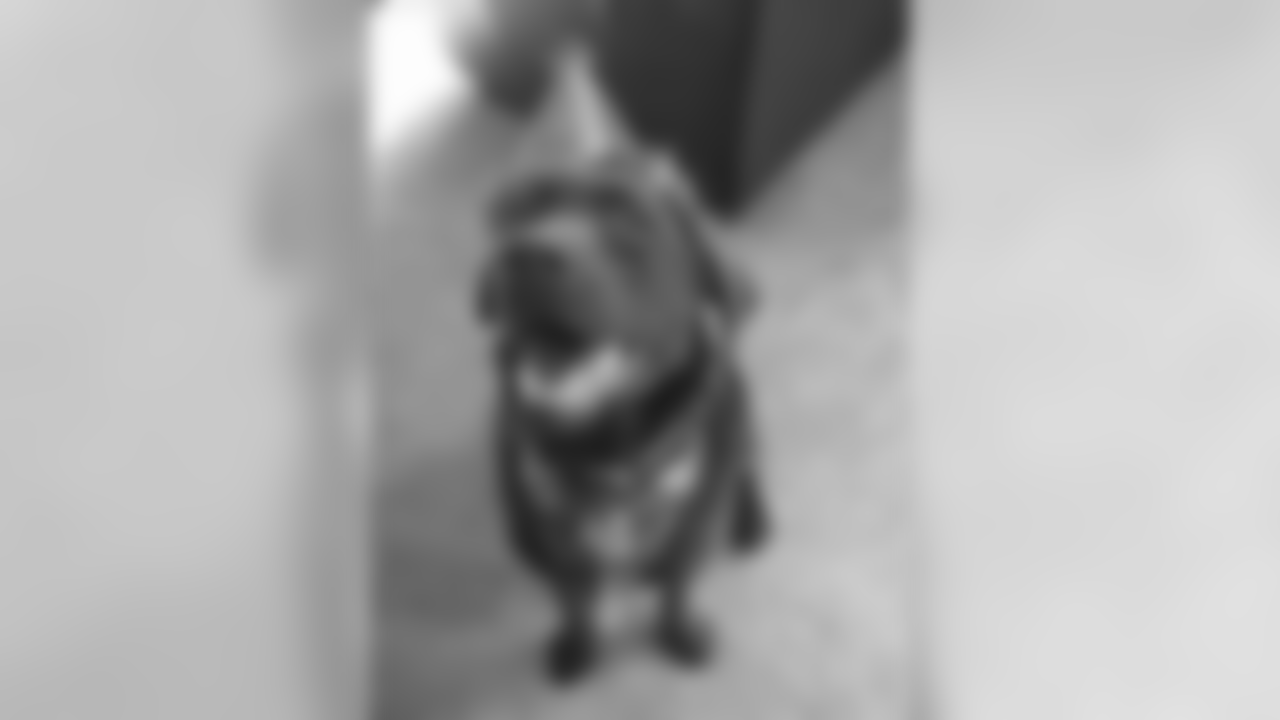 53270_8_1023632193
