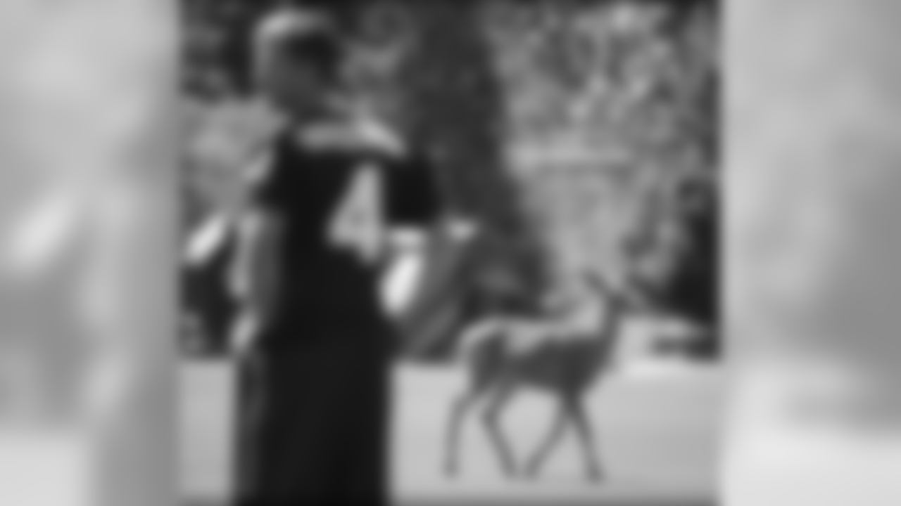 screen_shot_2016-06-21_at_11.05.02_am.png