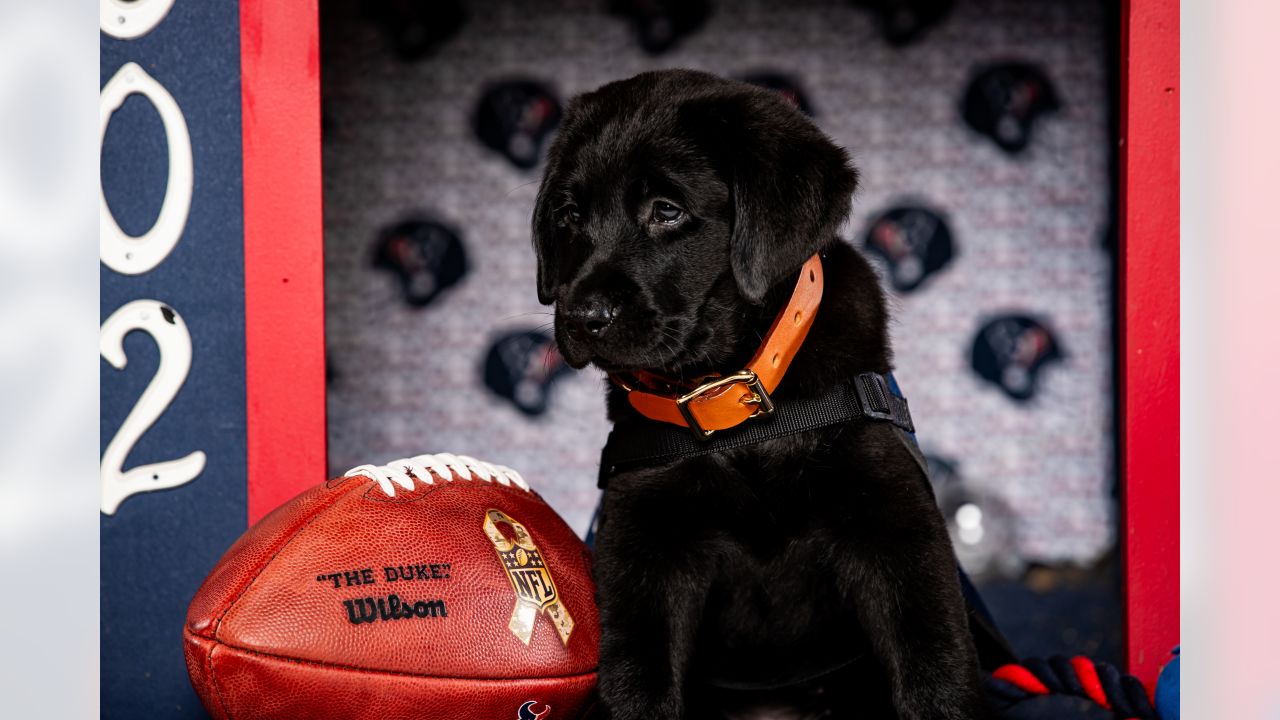 Atlanta United partners with America's VetDogs to raise future