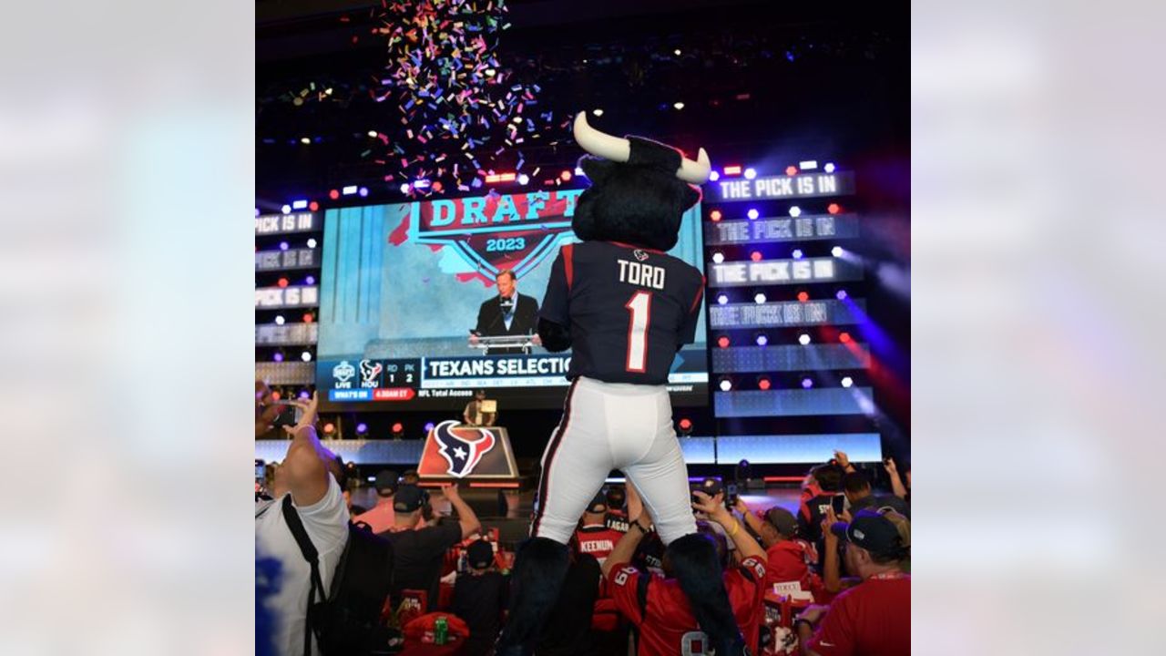 Photos: Houston fans celebrate Texans draft picks at Miller Outdoor Park –  Houston Public Media