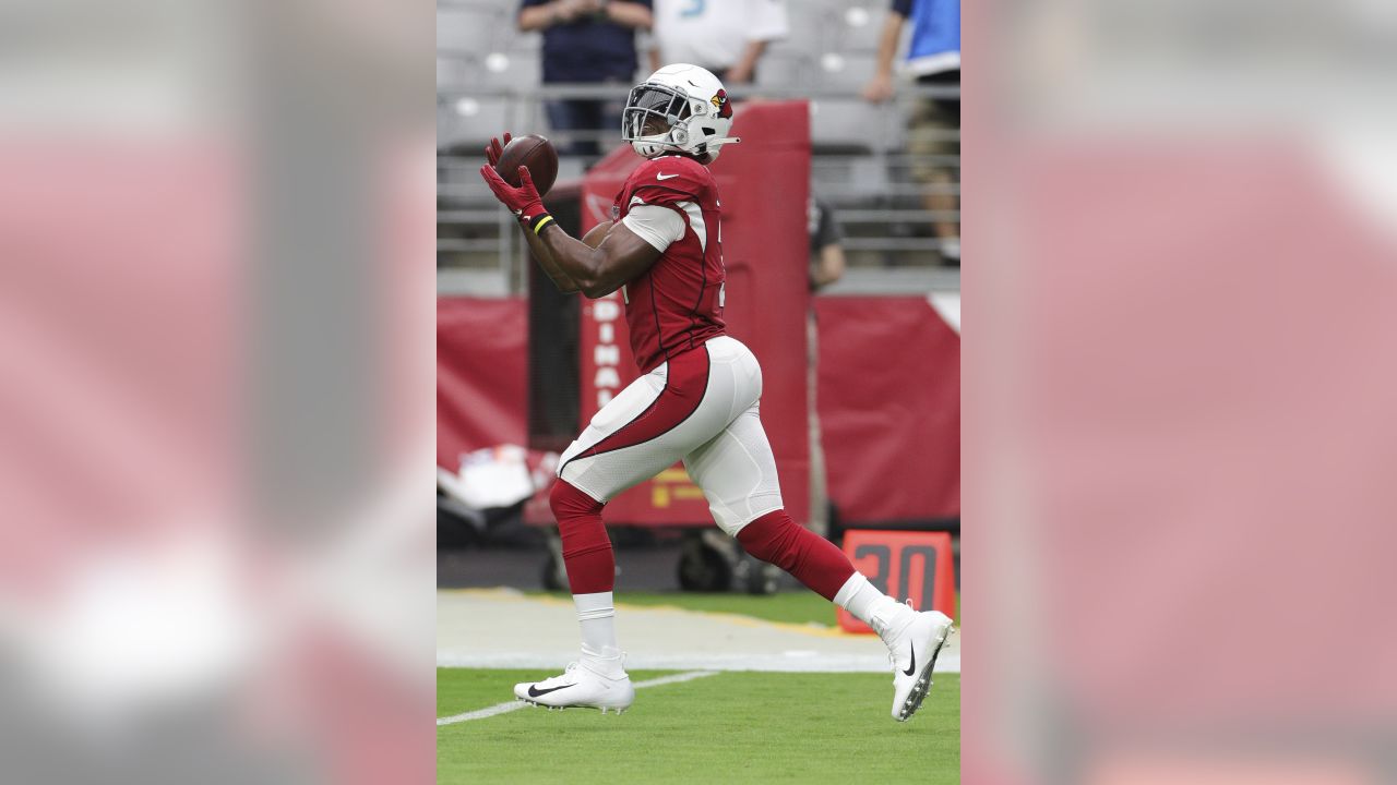 Texans' David Johnson wants to return, says mental health coach