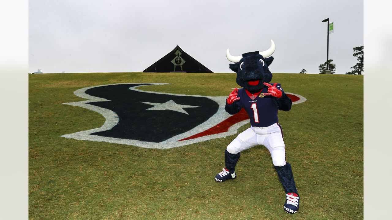 FREE PARTY: Houston Texans announce 2022 NFL Draft party that is