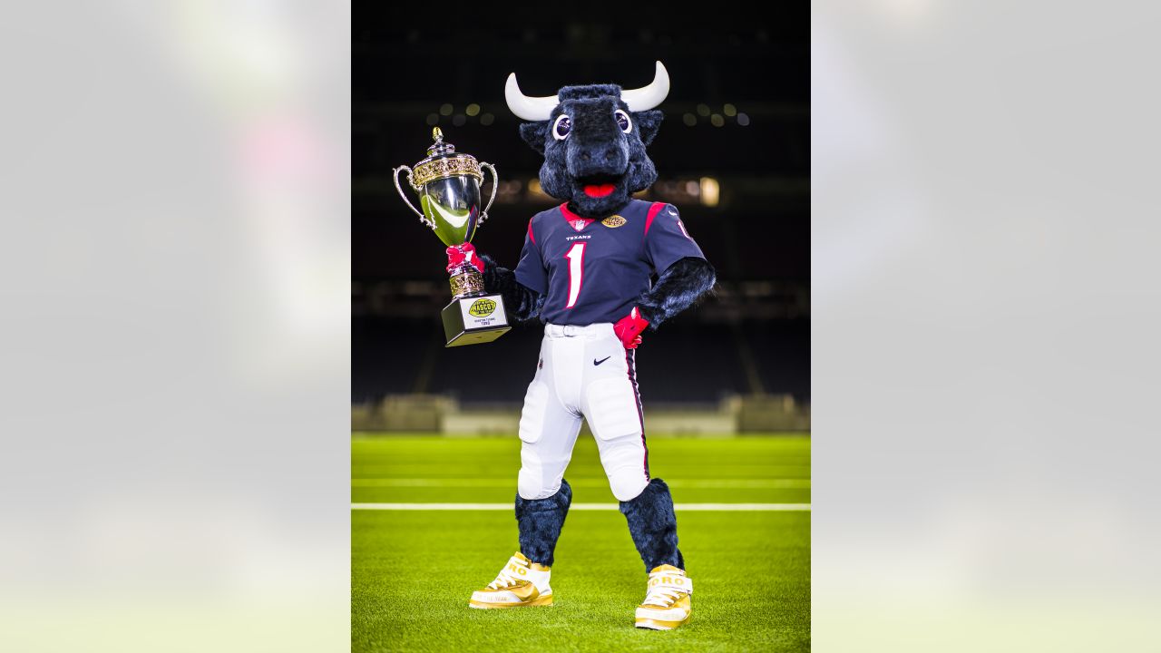 6 NFL Mascots That Need to Be Replaced, News, Scores, Highlights, Stats,  and Rumors