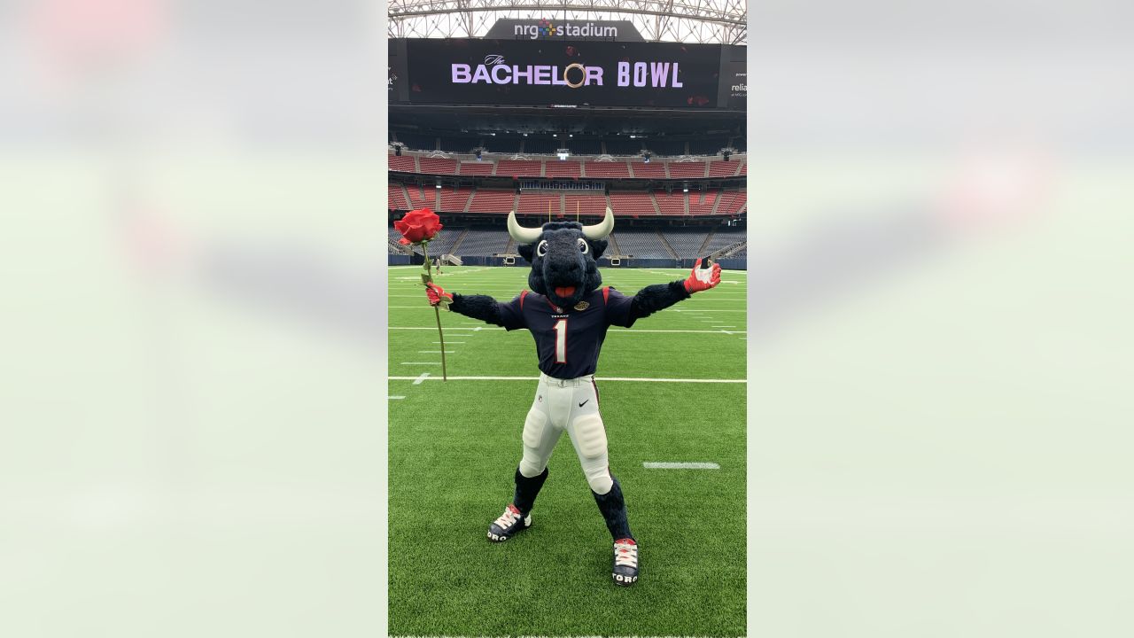 Greetings From NRG Stadium - Battle Red Blog