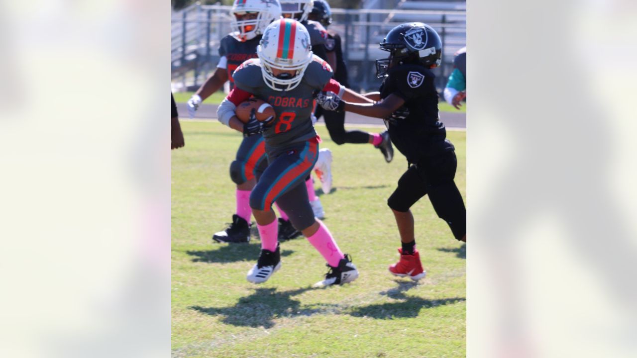 Windy City Dolphins Youth Football League