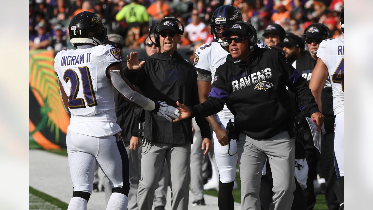 David Culley: Houston Texans hire Baltimore Ravens assistant as head coach, NFL News