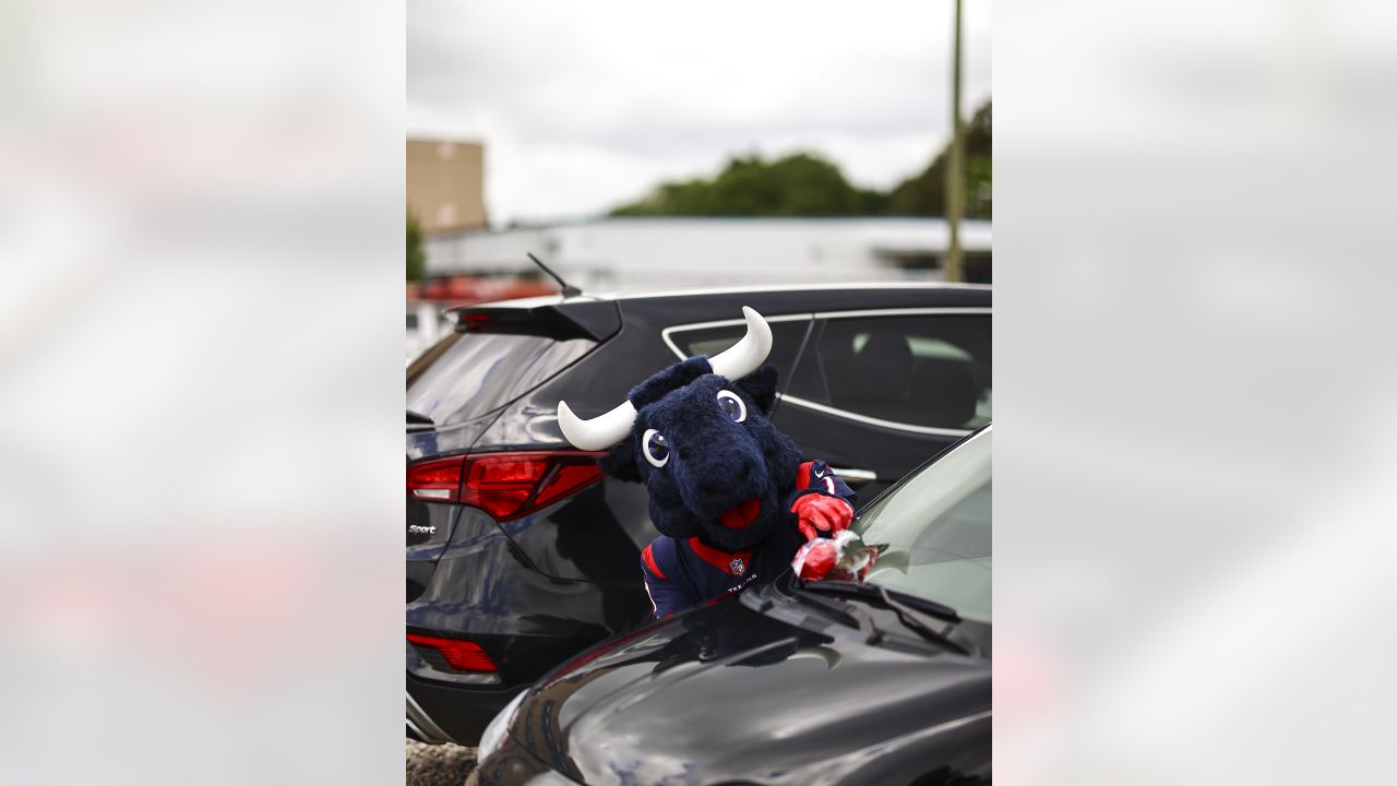 Houston Texans Cheerleaders on Instagram: Happy birthday HTC Amber! Have a  fabulous day! 