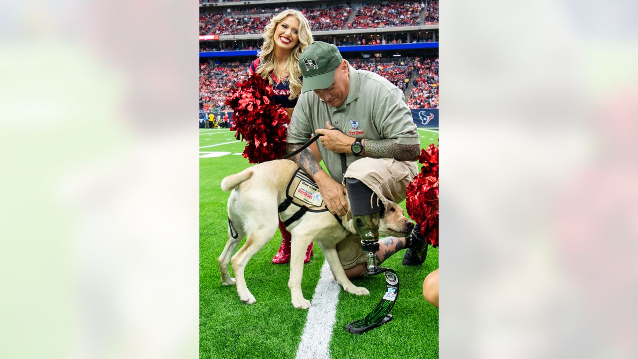 Blitz the Texans Pup (@texanspup) • Instagram photos and videos