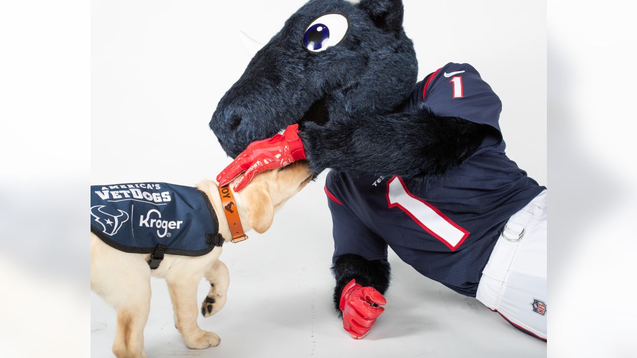 The Houston Texans, in partnership with Kroger, today announced a joint  collaboration with America's VetDogs to name and train a future service dog  that will be placed with a veteran or first-responder