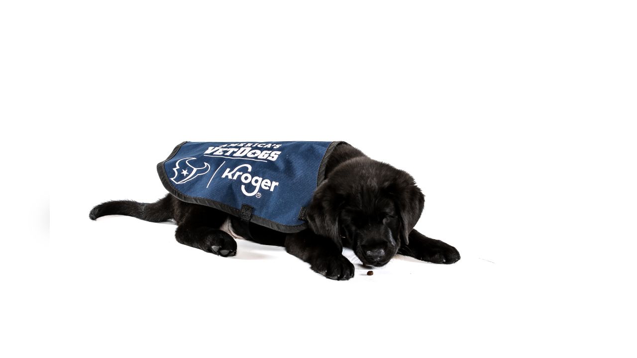 Houston Texans and Kroger partner with America's VetDogs to raise