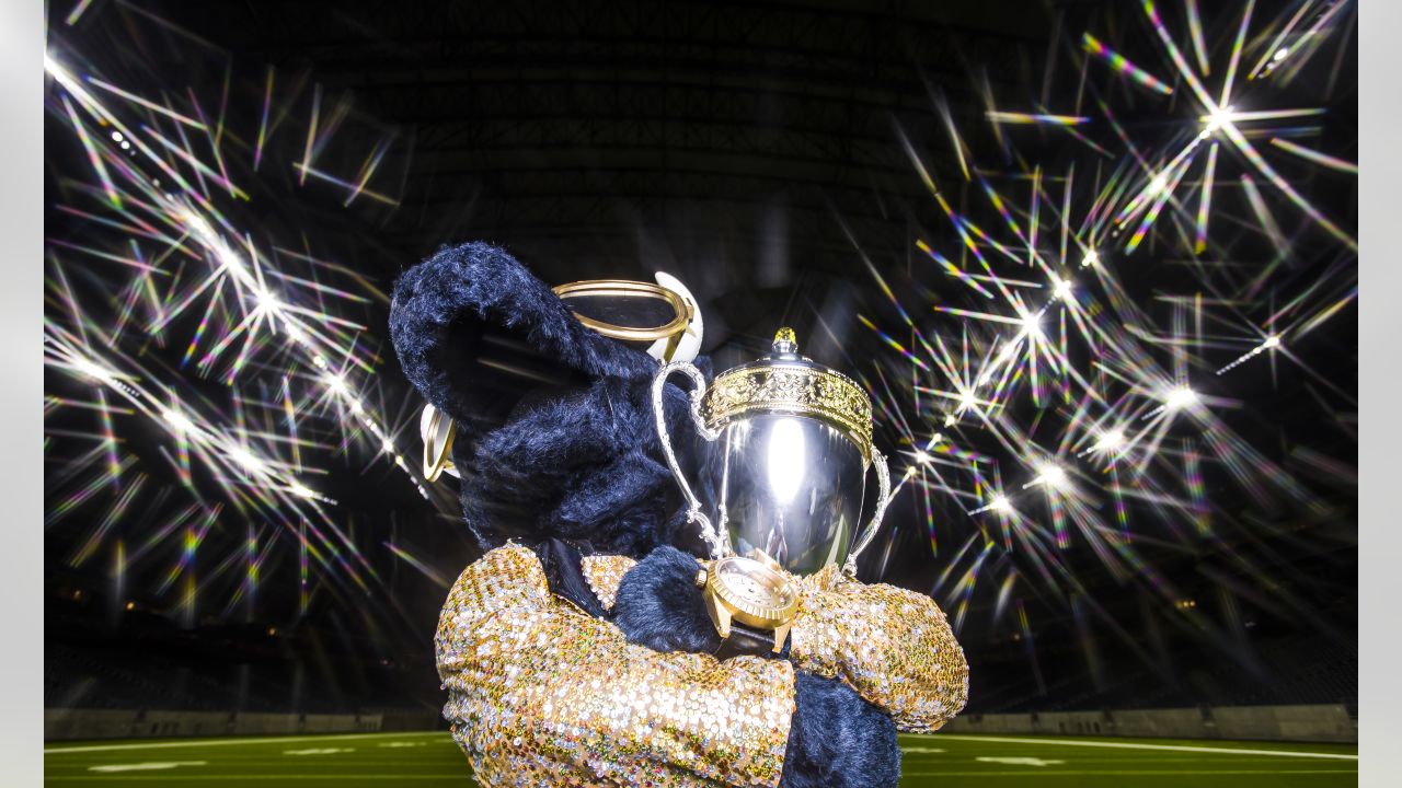 The Award Is Voted On By All 26 Nfl Mascots At The Nfl Mascot Summit Each Year And Given To The Nfl Mascot Who Achieved The Highest Success Overall